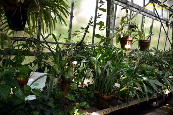 Orto botanico Hanbury dell'Università di Genova