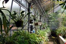 Orto botanico Hanbury dell'Università di Genova