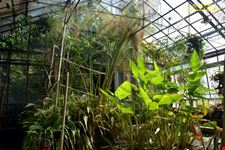 Orto botanico Hanbury dell'Università di Genova
