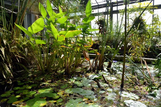 Orto botanico Hanbury dell'Università di Genova