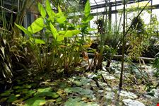 Orto botanico Hanbury dell'Università di Genova
