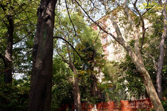 Orto botanico Hanbury dell'Università di Genova