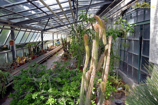 Orto botanico Hanbury dell'Università di Genova