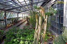 Orto botanico Hanbury dell'Università di Genova
