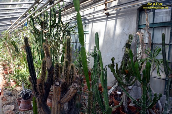 Orto botanico Hanbury dell'Università di Genova