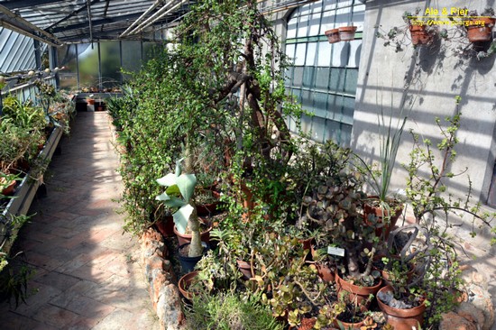 Orto botanico Hanbury dell'Università di Genova