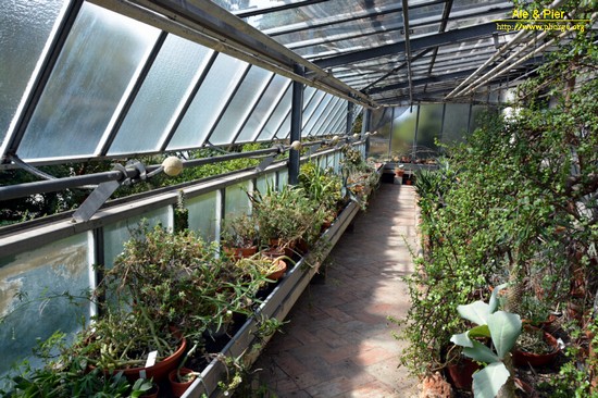 Orto botanico Hanbury dell'Università di Genova