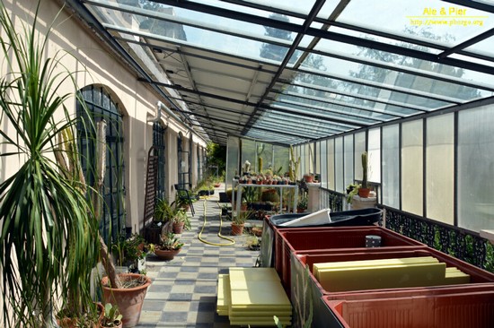 Orto botanico Hanbury dell'Università di Genova