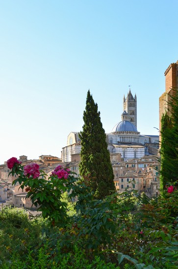 Siena