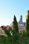 siena siena