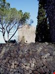 La Torre di Lividonia