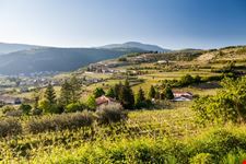 Valpolicella