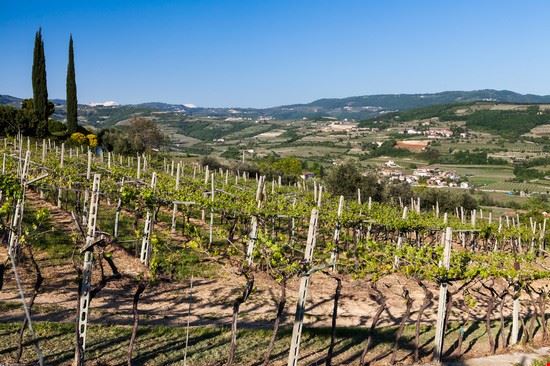  Marano di Valpolicella Oscity - Shutterstock Oscity