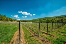 Valpolicella