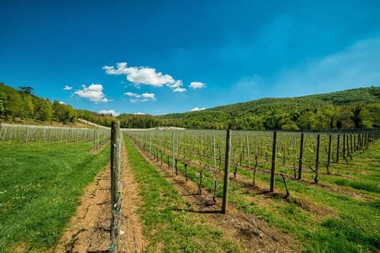  Marano di Valpolicella Bambo - Shutterstock Bambo