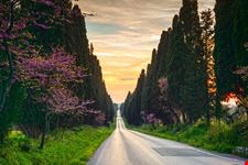 Viale dei Cipressi