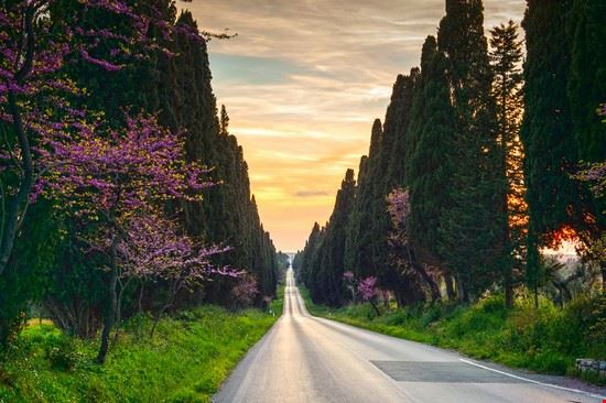 Viale dei Cipressi Castagneto Carducci StevanZZ - Shutterstock StevanZZ