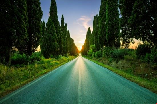 Viale dei Cipressi Castagneto Carducci StevanZZ - Shutterstock StevanZZ