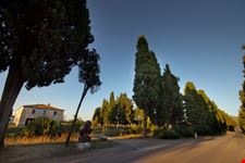 Viale dei Cipressi