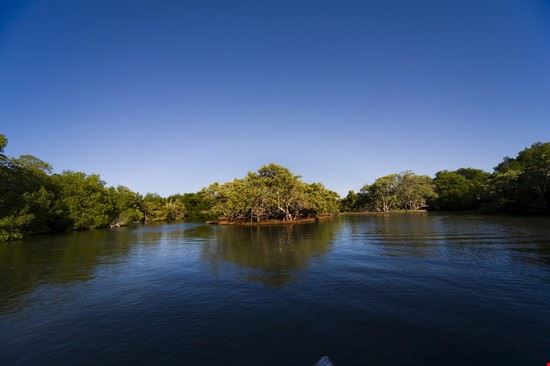 Parco Nazionale Laguna de la Restinga - Guy Shapira - Guy Shapira - Shutterstock