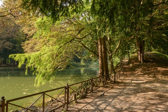 Parco di Monza
