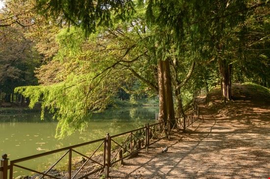Parco di Monza Monza hal pand - Shutterstock hal pand