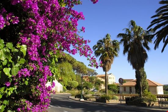  Bormes-les-Mimosas Christian Musat - Shutterstock Christian Musat