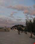 Piazzale con ulivi
