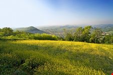Costigliole d'Asti