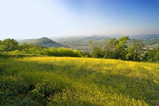 Colline Costigliole d'Asti Daniela Pelazza - Shutterstock Daniela Pelazza