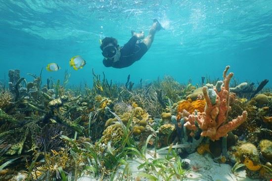  Key West Seaphotoart - Shutterstock Seaphotoart