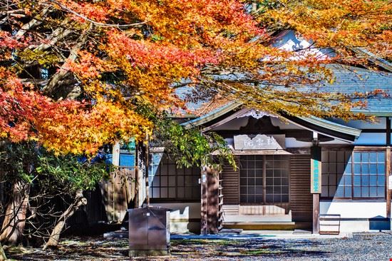  Kyoto NH / Shutterstock.com NH / Shutterstock.com