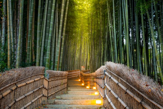 Arashiyama