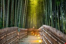 Arashiyama