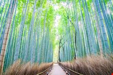 Arashiyama