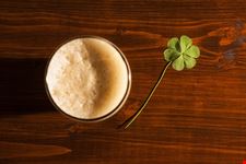 limerick birra