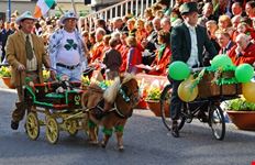 limerick san patrizio