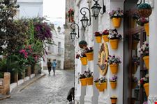 tarifa tarifa