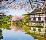 kyoto kyoto kyoto kyoto