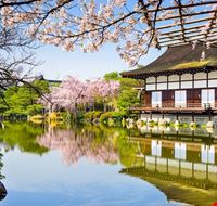 kyoto kyoto kyoto kyoto