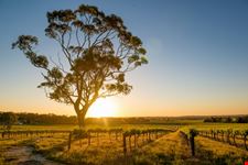 adelaide barossa valley