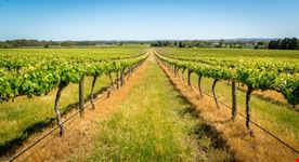 adelaide barossa valley
