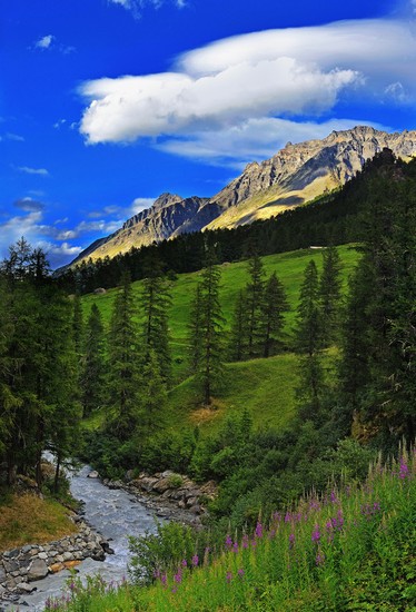 Parco del Gran Paradiso Valle d'Aosta