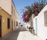 Tabarca Tabarca