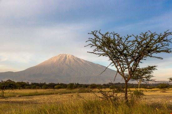  Arusha Shutterstock.com - Shutterstock.com Shutterstock.com
