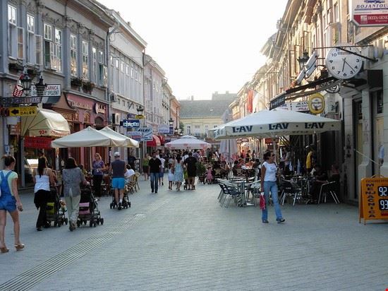  Novi Sad Micki - Shutterstock Micki