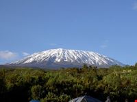 Kilimanjaro
