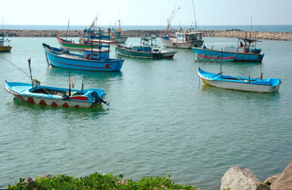 Barche Da Pesca