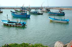 Barche Da Pesca