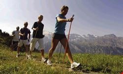 nordic walking